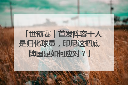 世预赛｜首发阵容十人是归化球员，印尼这把底牌国足如何应对？