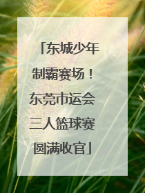 东城少年制霸赛场！东莞市运会三人篮球赛圆满收官