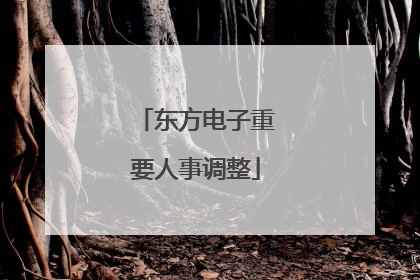 东方电子重要人事调整