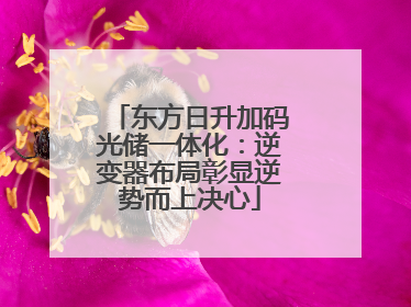 东方日升加码光储一体化：逆变器布局彰显逆势而上决心
