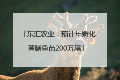 东汇农业：预计年孵化黄鳝鱼苗200万尾