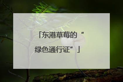 东港草莓的“绿色通行证”