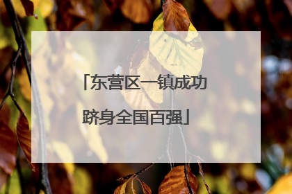 东营区一镇成功跻身全国百强