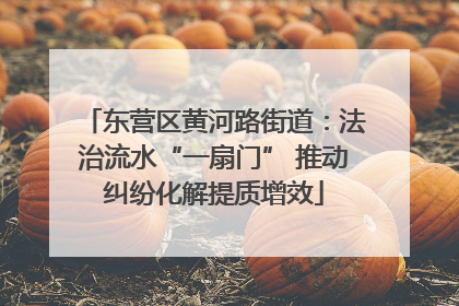 东营区黄河路街道：法治流水“一扇门” 推动纠纷化解提质增效