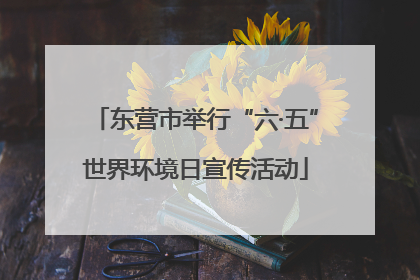 东营市举行“六·五”世界环境日宣传活动