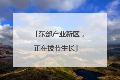 东部产业新区，正在拔节生长
