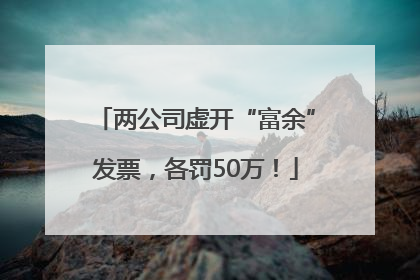 两公司虚开“富余”发票，各罚50万！