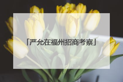 严允在福州招商考察