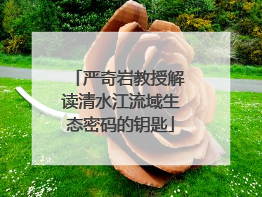 严奇岩教授解读清水江流域生态密码的钥匙