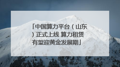 中国算力平台（山东）正式上线 算力租赁有望迎黄金发展期