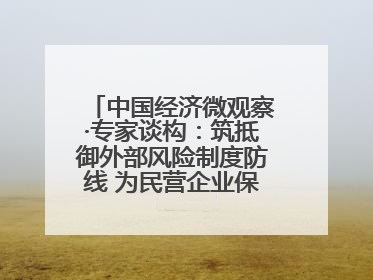中国经济微观察·专家谈构：筑抵御外部风险制度防线 为民营企业保驾护航