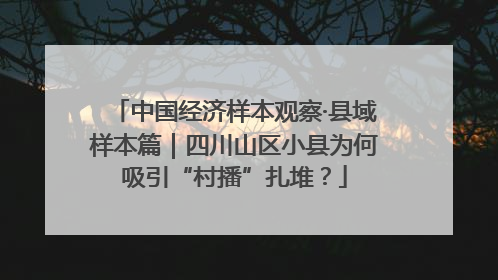 中国经济样本观察·县域样本篇｜四川山区小县为何吸引“村播”扎堆？