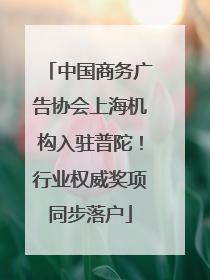 中国商务广告协会上海机构入驻普陀！行业权威奖项同步落户