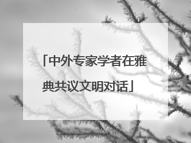 中外专家学者在雅典共议文明对话