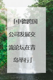 中德跨国公司发展交流论坛在青岛举行