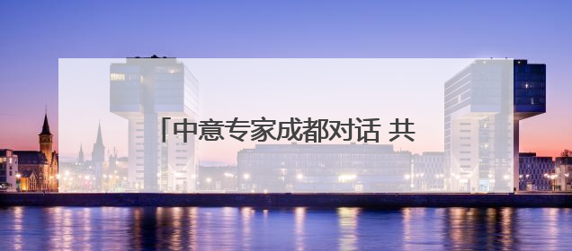 中意专家成都对话 共探文化遗产保护实践