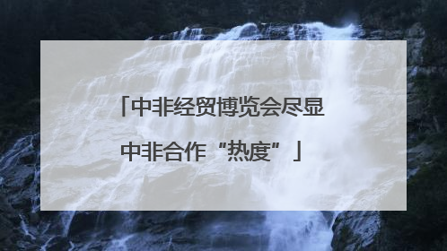 中非经贸博览会尽显中非合作“热度”