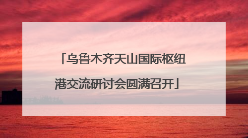 乌鲁木齐天山国际枢纽港交流研讨会圆满召开