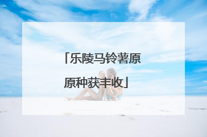 乐陵马铃薯原原种获丰收