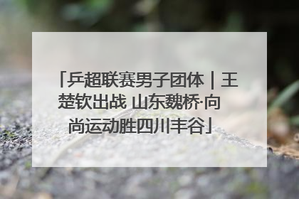 乒超联赛男子团体｜王楚钦出战 山东魏桥·向尚运动胜四川丰谷