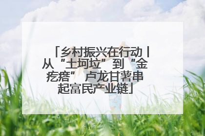 乡村振兴在行动丨从“土坷垃”到“金疙瘩” 卢龙甘薯串起富民产业链