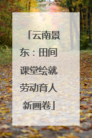 云南景东：田间课堂绘就劳动育人新画卷
