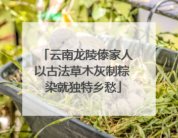 云南龙陵傣家人以古法草木灰制粽 染就独特乡愁