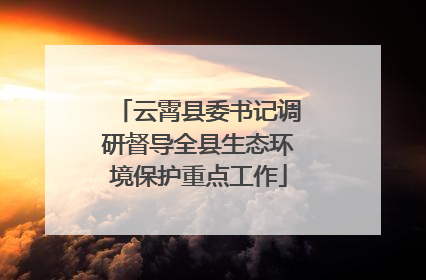 云霄县委书记调研督导全县生态环境保护重点工作