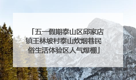 五一假期泰山区邱家店镇王林坡村泰山炊烟巷民俗生活体验区人气爆棚