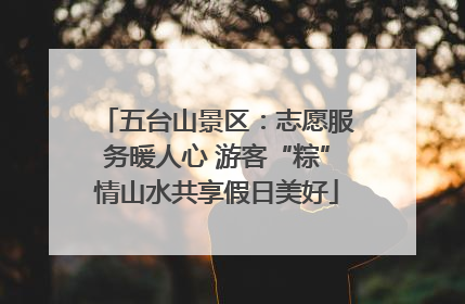 五台山景区：志愿服务暖人心 游客“粽”情山水共享假日美好