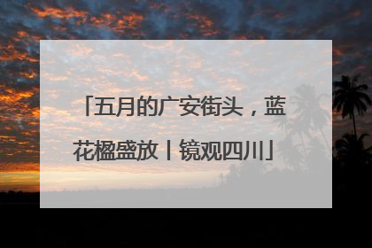 五月的广安街头，蓝花楹盛放丨镜观四川