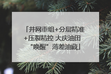 井网重组+分层精准+压裂精控 大庆油田“唤醒”薄差油藏