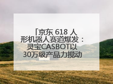 京东 618 人形机器人赛道爆发：灵宝CASBOT以30万级产品力搅动行业新变局