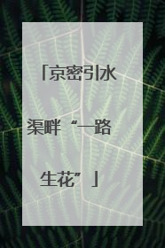 京密引水渠畔“一路生花”