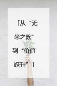 从“无米之炊”到“价值跃升”