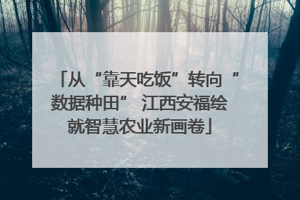 从“靠天吃饭”转向“数据种田” 江西安福绘就智慧农业新画卷