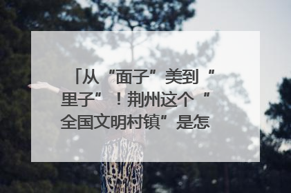 从“面子”美到“里子”！荆州这个“全国文明村镇”是怎样炼成的？