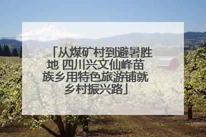 从煤矿村到避暑胜地 四川兴文仙峰苗族乡用特色旅游铺就乡村振兴路