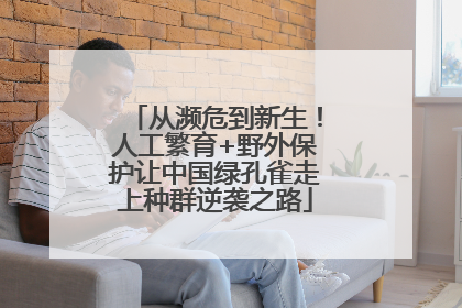 从濒危到新生！人工繁育+野外保护让中国绿孔雀走上种群逆袭之路