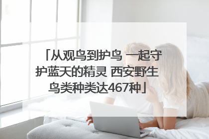 从观鸟到护鸟 一起守护蓝天的精灵 西安野生鸟类种类达467种
