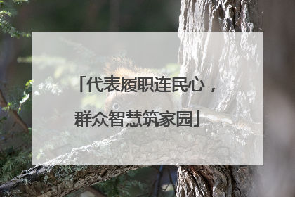 代表履职连民心，群众智慧筑家园