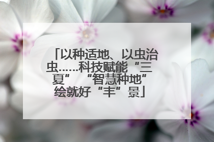 以种适地、以虫治虫……科技赋能“三夏” “智慧种地”绘就好“丰”景
