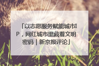 以志愿服务赋能城市IP，网红城市里藏着文明密码｜新京报评论