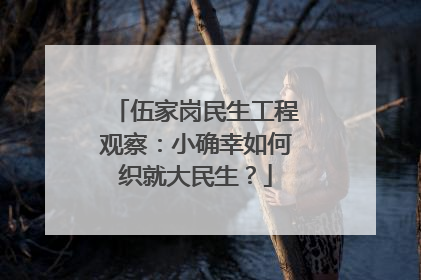 伍家岗民生工程观察：小确幸如何织就大民生？