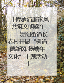 传承清廉家风 共筑文明端午——舞阳街道长春村开展“树道德新风 扬端午文化”主题活动
