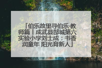 伯乐故里寻伯乐·教师篇丨成武县郜城第六实验小学刘士成：书香润童年 阳光育新人