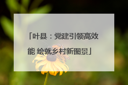 叶县：党建引领高效能 绘就乡村新图景