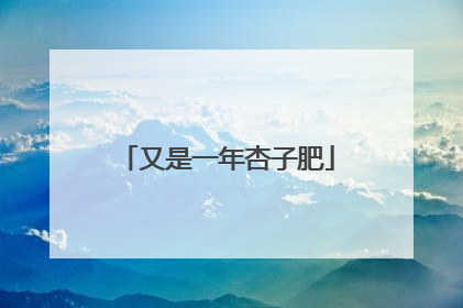又是一年杏子肥