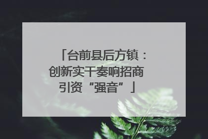 台前县后方镇：创新实干奏响招商引资“强音”