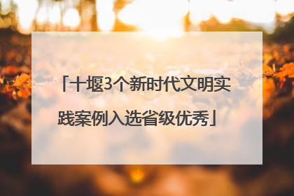 十堰3个新时代文明实践案例入选省级优秀